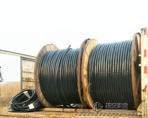 電力傳輸?shù)氖刈o(hù)者 河南超安國(guó)標(biāo)銅芯電線電纜的專業(yè)解讀